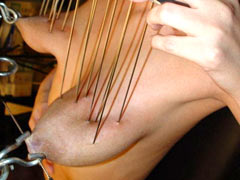 Long needles in tits